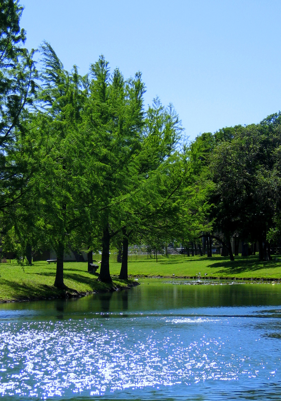 travis country great homes for sale in austin